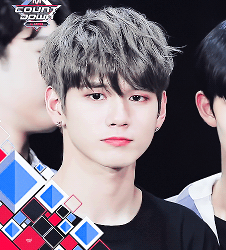 내 최애들은 무슨 느낌이야?? | 인스티즈