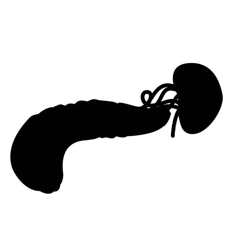 췌장옆에 이거 누군지 아는사람~! | 인스티즈