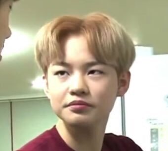 ㄹㅊ 꿈에서 보자 내사랑들 | 인스티즈