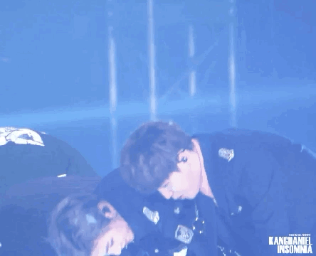 ㄱ 다들 댕두 좀 보고가세요 | 인스티즈