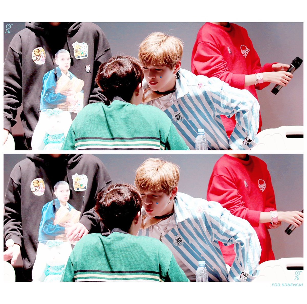 ㄱ 다들 댕두 좀 보고가세요 | 인스티즈