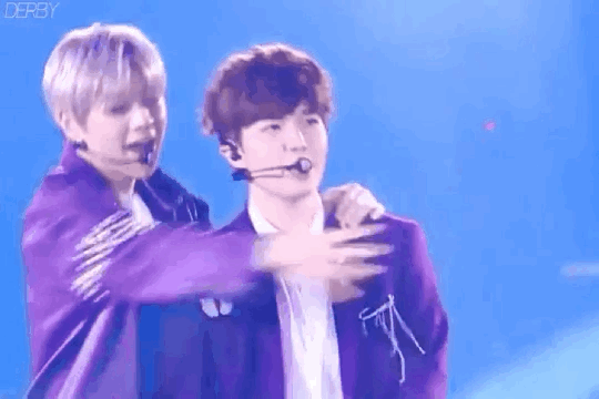 ㄱ 다들 댕두 좀 보고가세요 | 인스티즈