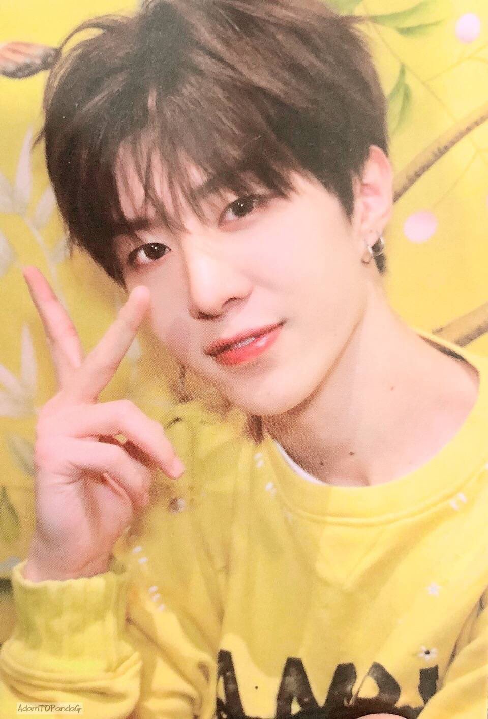 한국에서 보고싶어 | 인스티즈