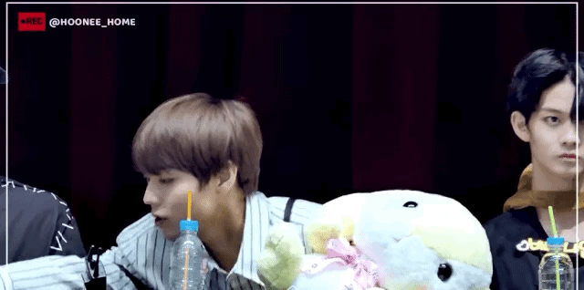 ㄱ 녤윙 나 이 떡밥도 좋아해 | 인스티즈