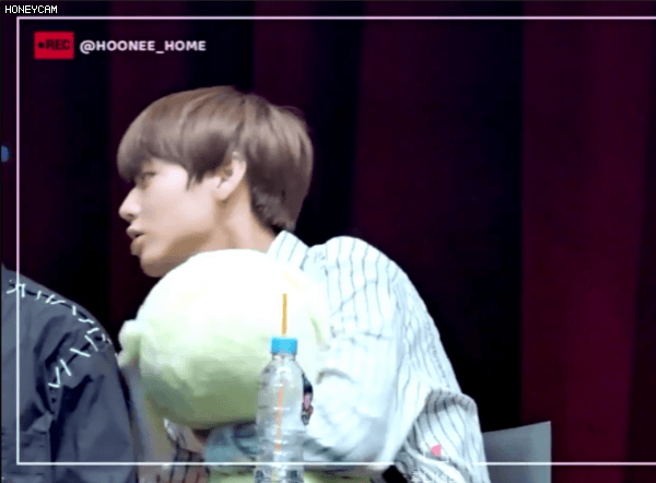 ㄱ 녤윙 나 이 떡밥도 좋아해 | 인스티즈