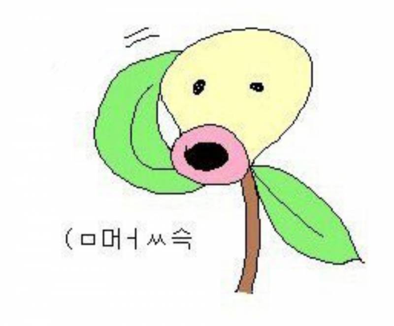 엘존Lzone 이미지