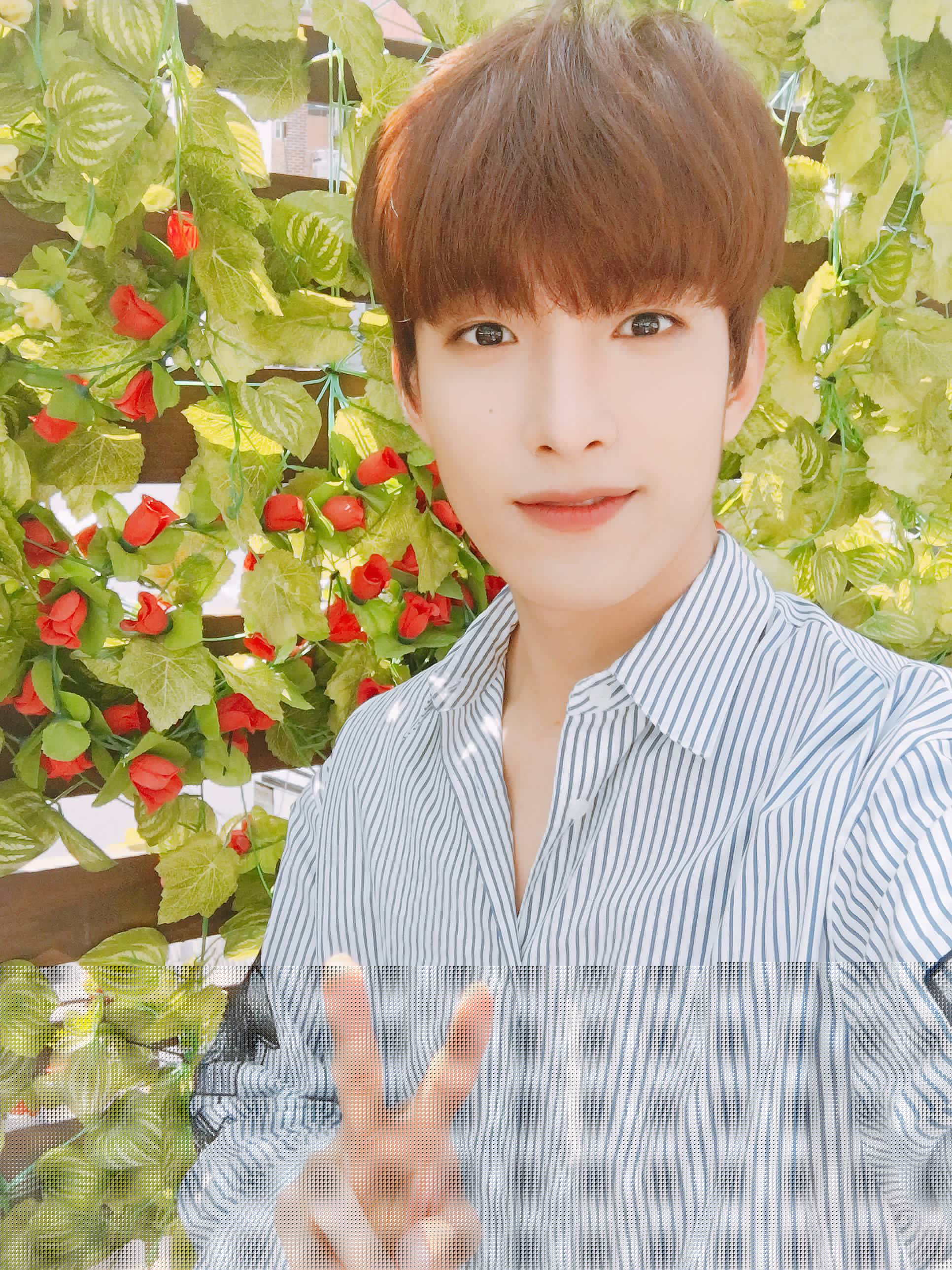 세븐틴 도겸 이석민 | 인스티즈