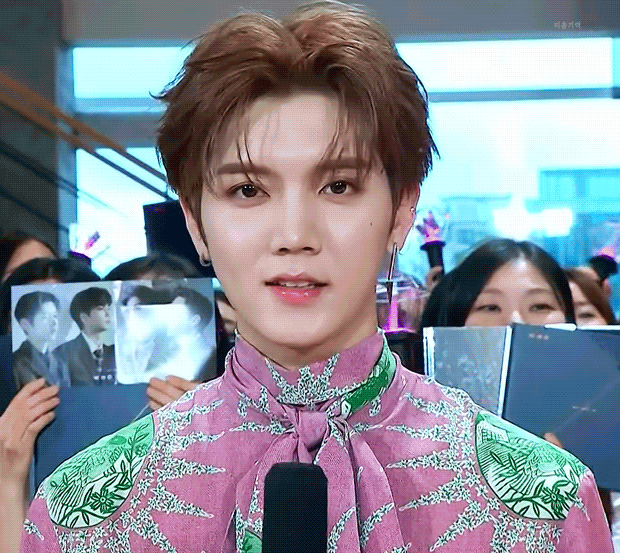 새벽에 해보는 뉴이스트 얼굴자랑🐢🐯🐶🦊🐰 | 인스티즈