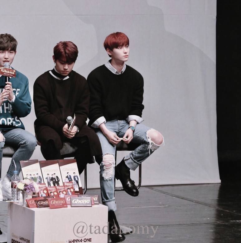 솔직히 황민현 궁 이신 같은 역할 해 줘야 한다 ㅅㅊㅅㅊ 아니면 국가적 손실이다 | 인스티즈