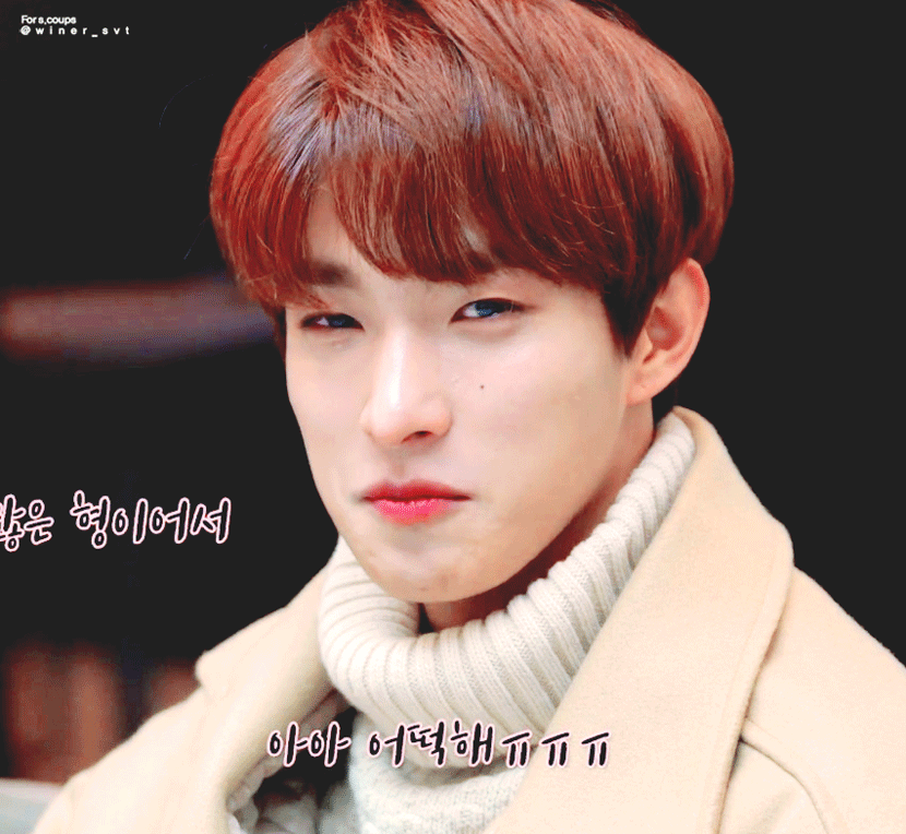 세븐틴 도겸 인터뷰 중에 팬들 언급 하자마자 울컥하는 영상 보구가ㅋㅋㅋㅋㅋㅋㅋ | 인스티즈