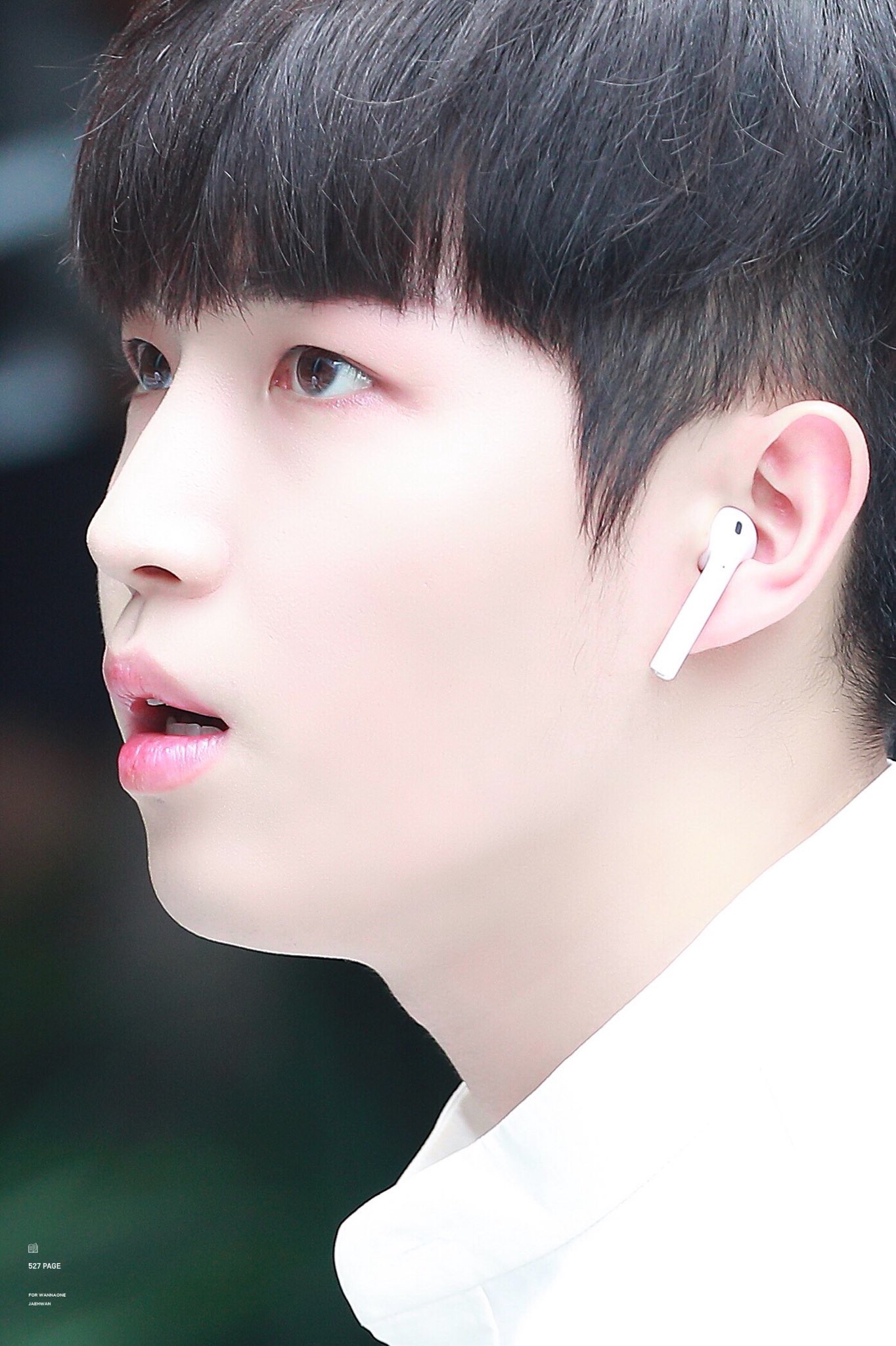 몬보싶 몬모 우리 몬모 너무보고싶다 재환아 몬모야 | 인스티즈