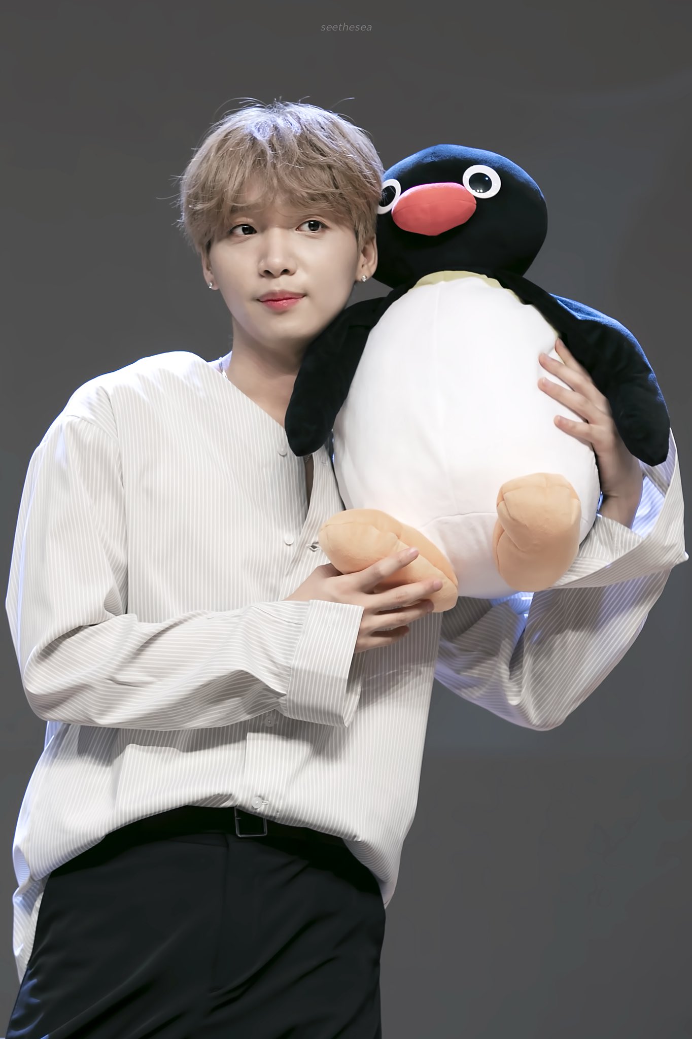 갠적으로 정세운 핑구 닮았다고 생각해 | 인스티즈