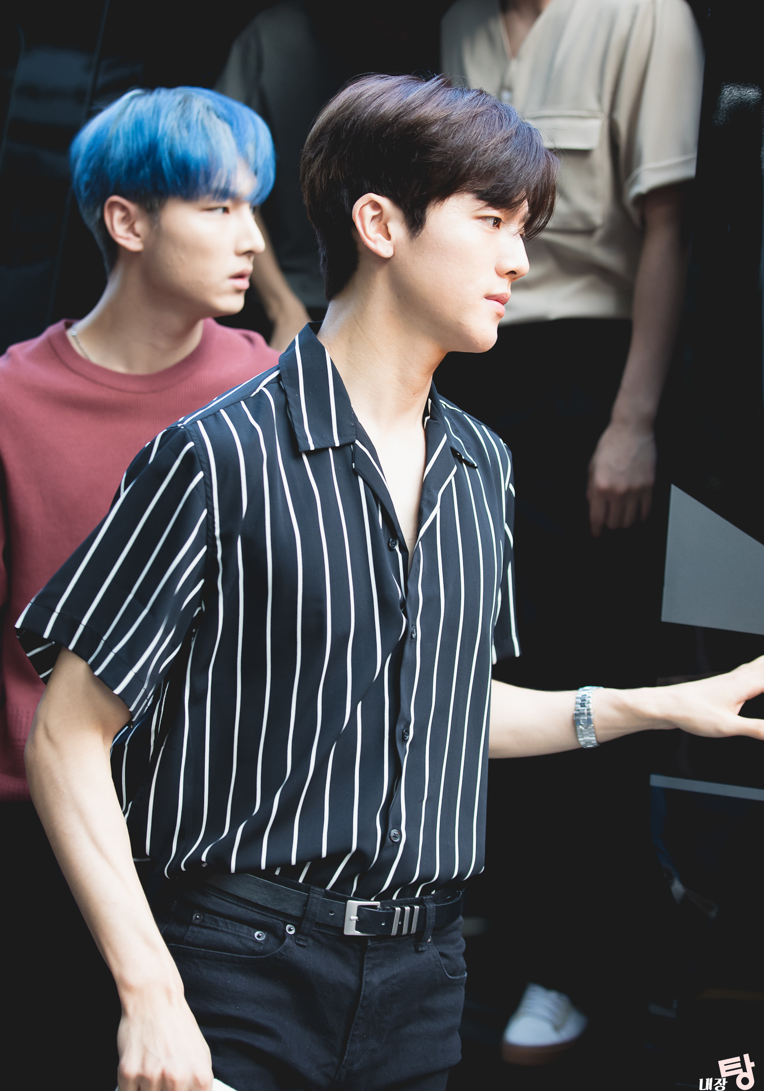 갑자기 내장탕님 생각나서 블로그 들어가봤는데 최근에 다시 찍기 시작하셨네 ㅋㅋㅋㅋ | 인스티즈