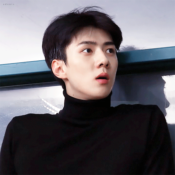 내가 좋아하는 우리 애들 짤 | 인스티즈