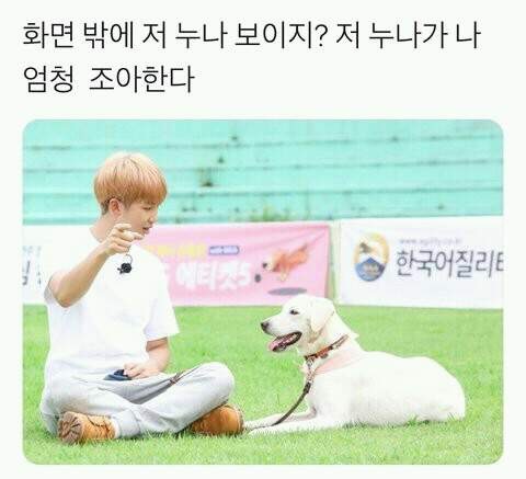 ㄹㅊ 꾸꾸 나와라 동구래미 방탄 | 인스티즈