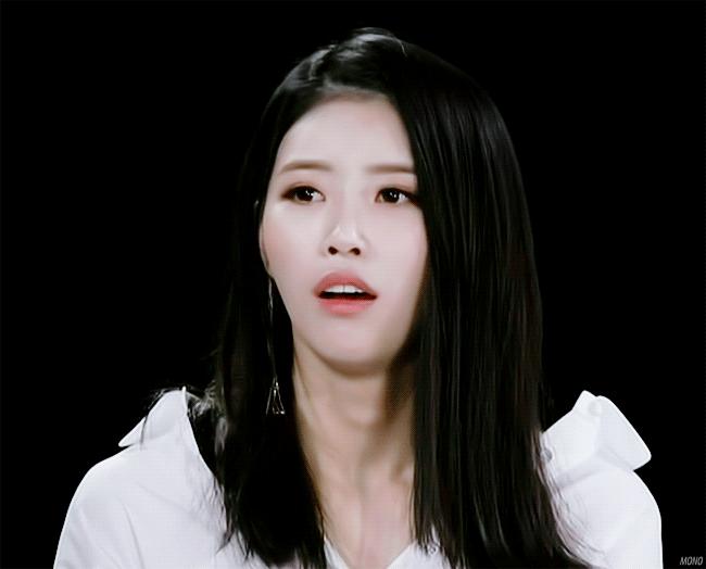 오늘 아는형님에 우리 붱이 나온다! | 인스티즈