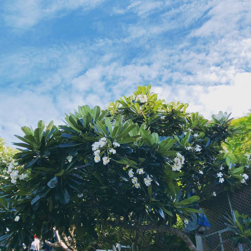 ✨ 친구들이 칭찬해준 여행가서 아이폰+필터로 찍은 사진들 40😆 ✨ | 인스티즈