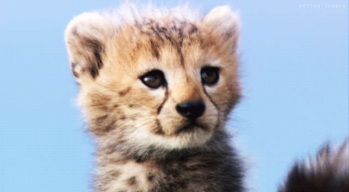 연습을 너무 많이 해서 혼나고 풀죽은 마크, 빵 뺏겨서 풀죽은 마크, 형들이 자기만 두고 가버려서 놀란 마크 | 인스티즈