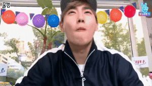 이 움짤들 내가 세상에서 제일 좋아하는 짤들이야 | 인스티즈