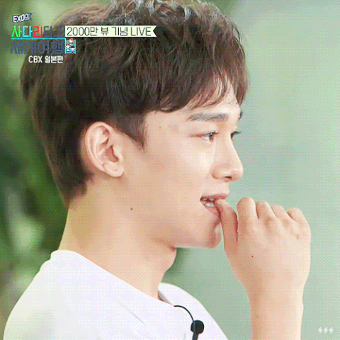 내가 좋아하는 우리 애들 짤 | 인스티즈