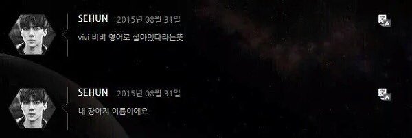 비비(강아지)키운다고 팬들한테 첨 공개하던 오세훈씨 이 세상 귀여움 다 가짐 | 인스티즈