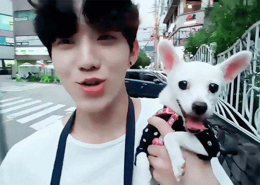 누가 강아지고 누가 우리애 인지 모르겠다 | 인스티즈