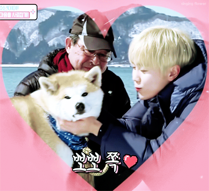 세븐틴 좋아한다 그러면 은근 그거 많이 들었는데 | 인스티즈