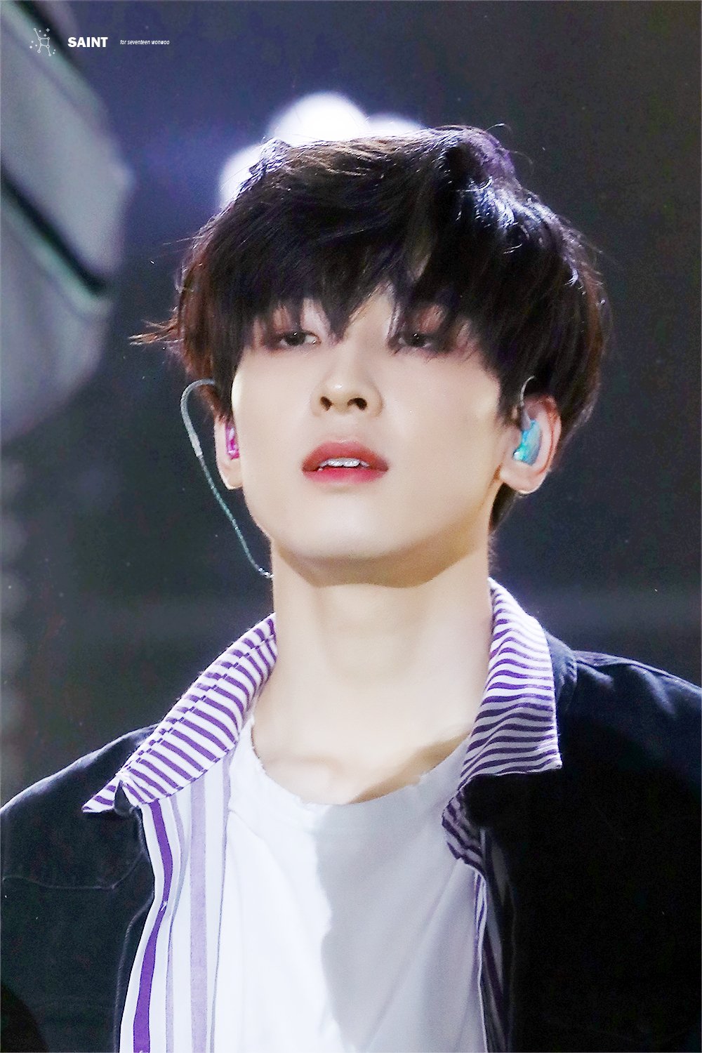 세상에서 제일 의미없는 게 세븐틴 원우 냉미남이냐 온미남이냐 물어보는 것 같애 | 인스티즈