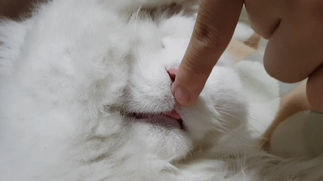 너네 이런거 못하지ㅋㅋㅋㅋㅋㅋㅋㅋㅋㅋㅋ | 인스티즈