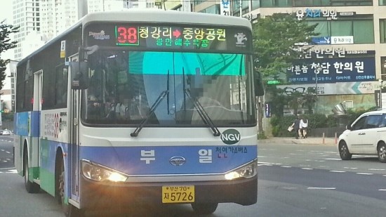 부산에서 잡기 힘든 번호 | 인스티즈