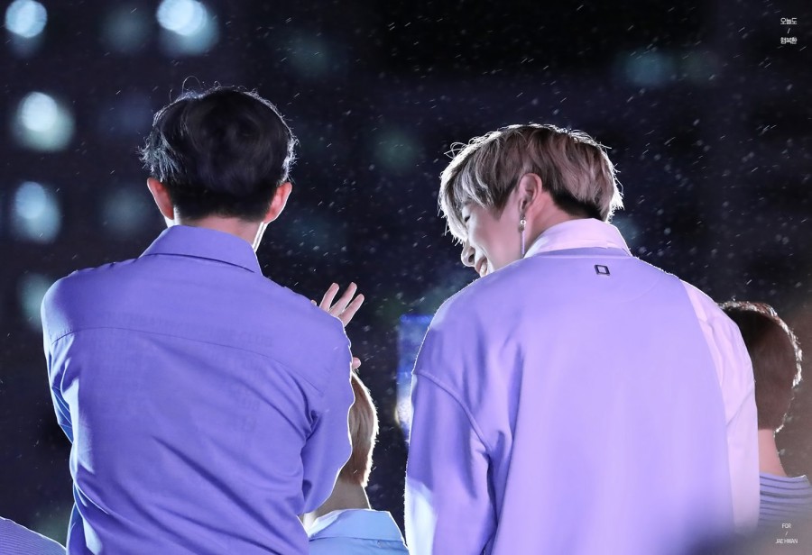 ㄱ 다들 댕두 좀 보고가세요 | 인스티즈