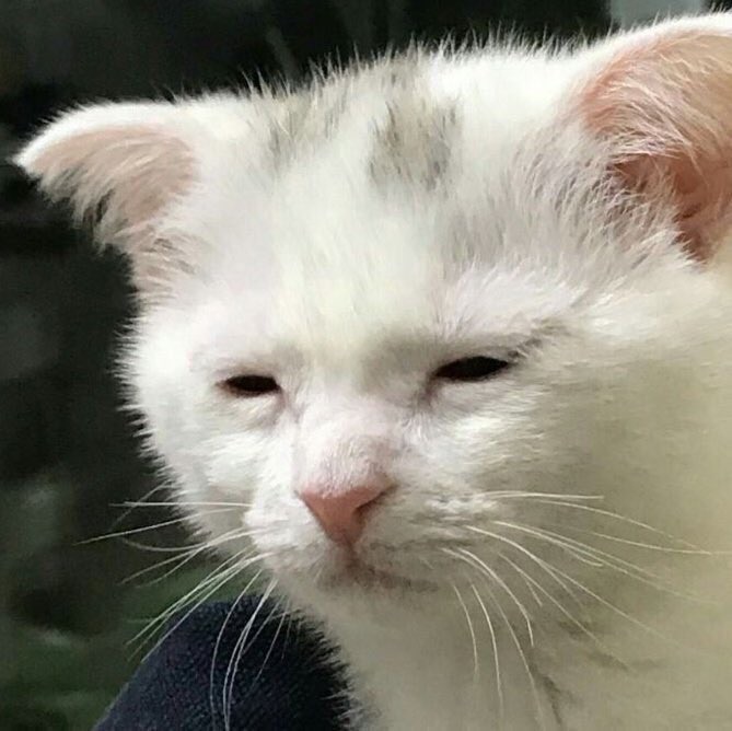 아 방탄 슈가 진짜 핵똑같아 미쳣엌ㅋㅋㄱㅋㄱㅋㄱㅋㅋㄱㅋㅋㄱㅋㅋㄱㅋ | 인스티즈