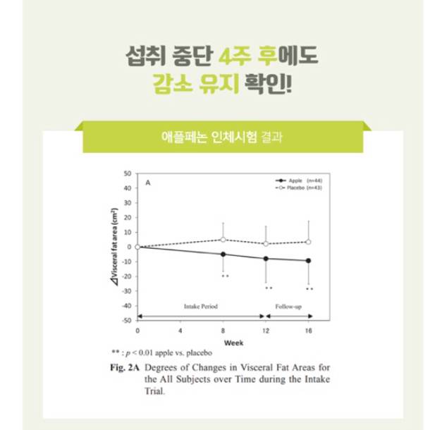 ⭐️ 칼로바이 다이어트 워터 젤리 사과맛 ⭐️ | 인스티즈