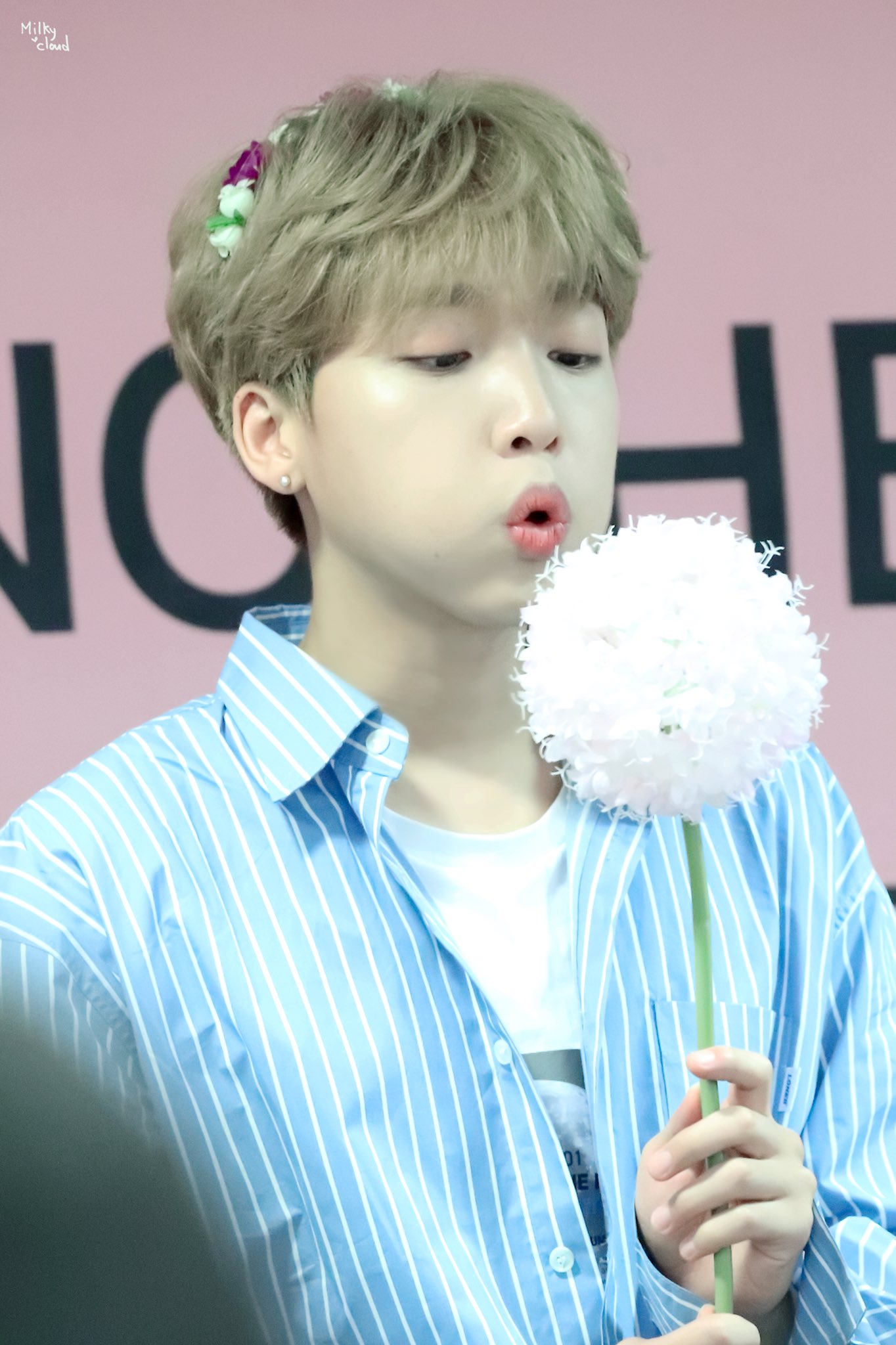 별명이 포뇨인데 생일이 바다의 날이야 어쩜 이래???? | 인스티즈