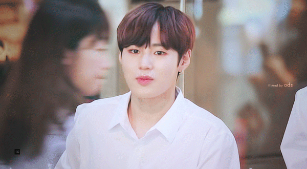 내기준 이날이 역대급 배 찢어지는 날임 주어 하성운 | 인스티즈