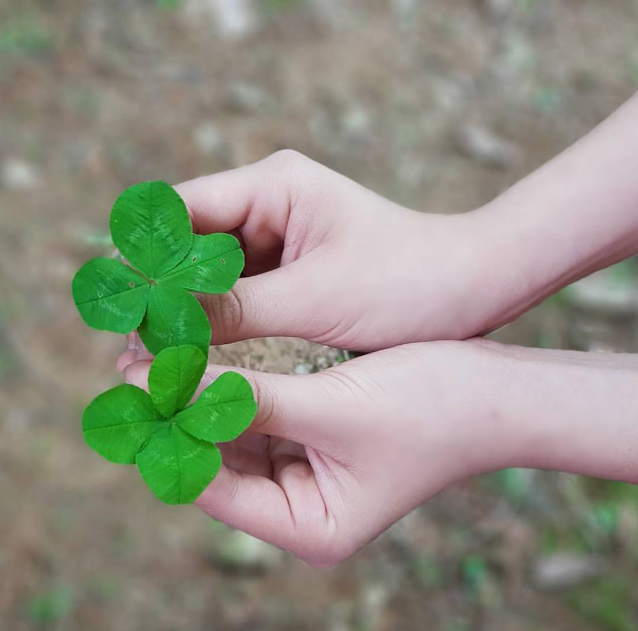 팬들 심장 조지는 세븐틴 호시 앙증 맞은 손 좀 봐ㅠㅡㅜㅠㅠ ㅜ | 인스티즈