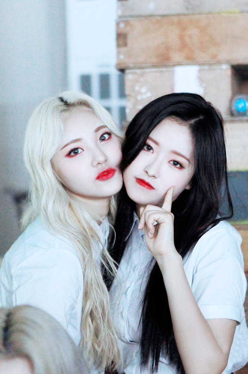 자 제 이달소 최애를 소개합니다 | 인스티즈