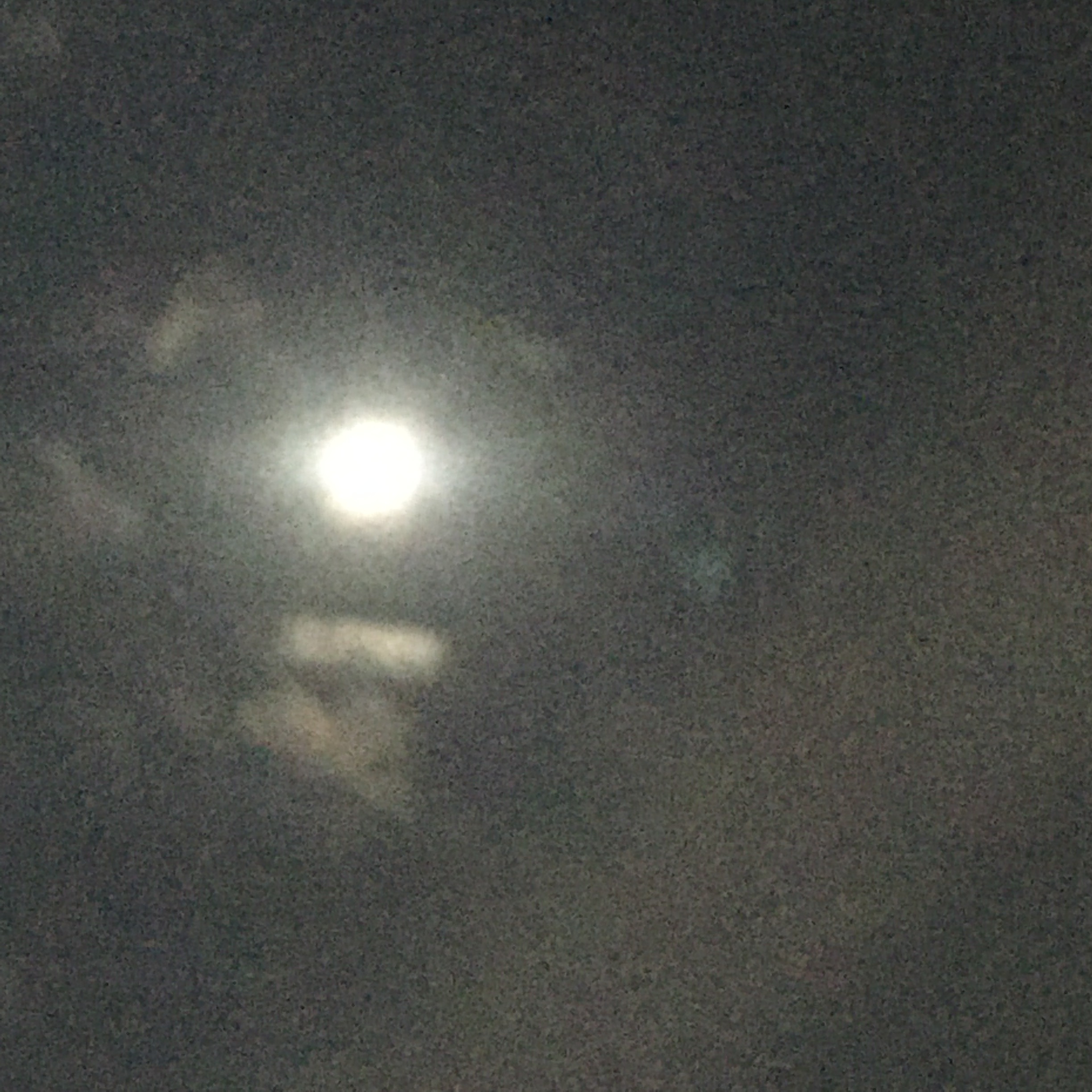 ㄹㅊ머리색으로 염색함 흑발이면 두번째 사진머리색으로 | 인스티즈