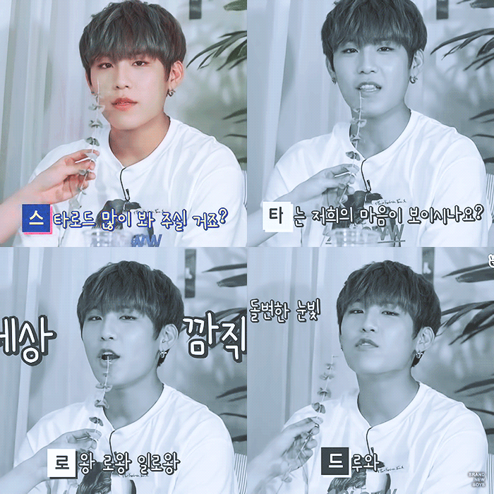 박우진 n행시 잘하는거 보면 | 인스티즈