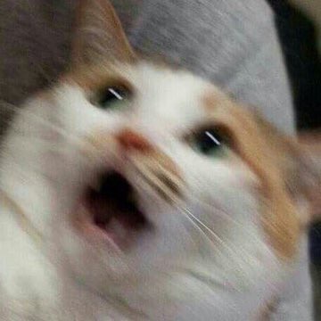 세상에 큰ㄴ방 사람들 재환이 배 보였어요 세상에 세상에 | 인스티즈