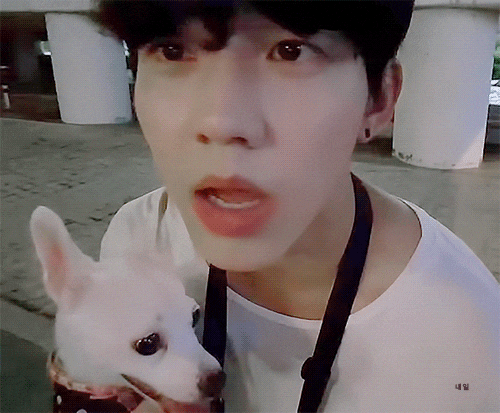 누가 강아지고 누가 우리애 인지 모르겠다 | 인스티즈