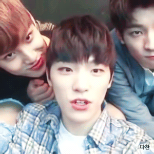 ㄱ 셉 알페스에 관심이 있다면 찬른은 꼭 보셔야 합니다 (움짤 많음 | 인스티즈