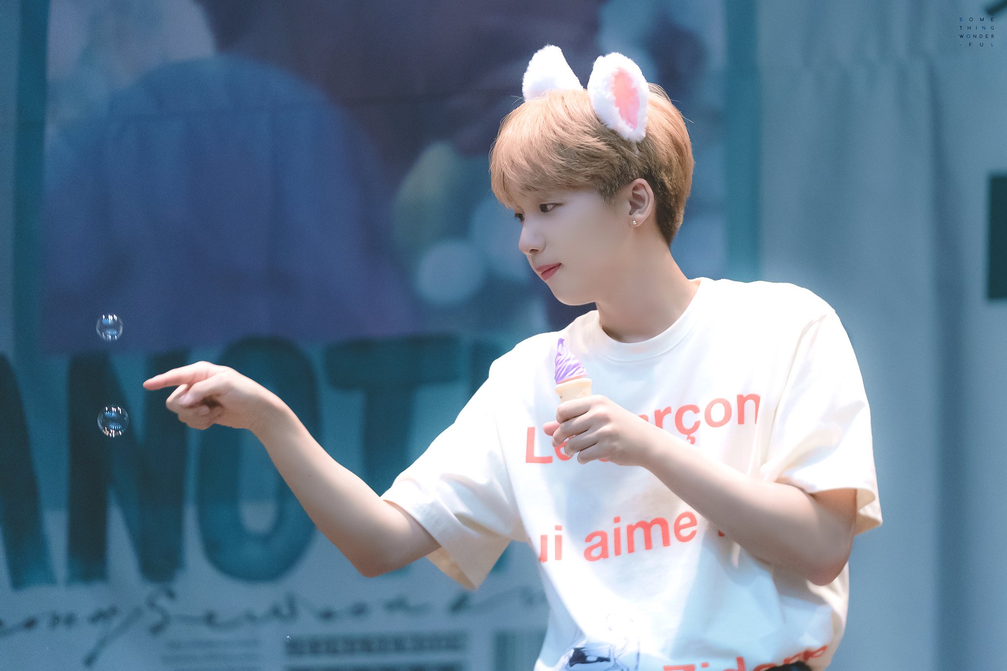 진심 우리집 고양이랑 똑같아ㅋㅋ(ㄱㅇㄴㄴ | 인스티즈