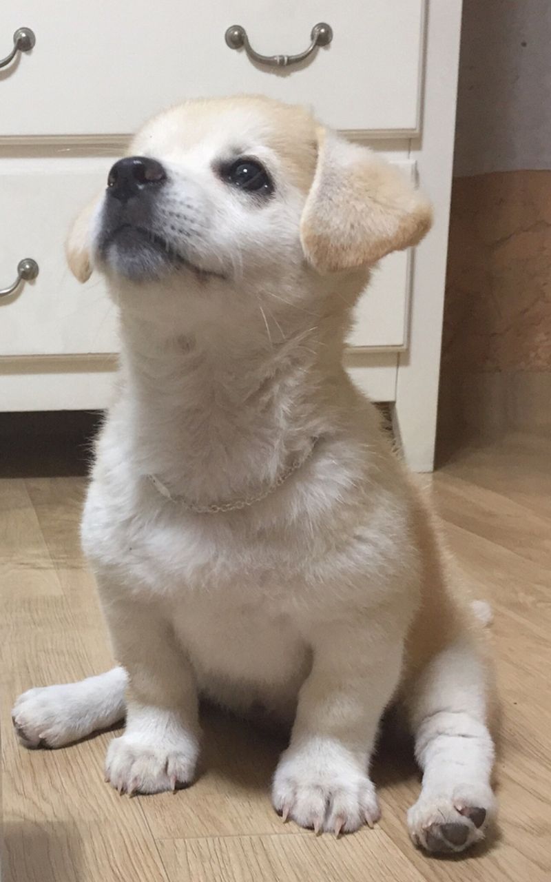 와 나 심해공포증 없는데 이건 진짜 소름돋아 미방ㅇ 심해공포증 있는 사람 클릭ㄴㄴ | 인스티즈