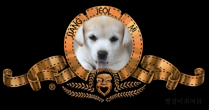 짝눈 익 눈 40 | 인스티즈