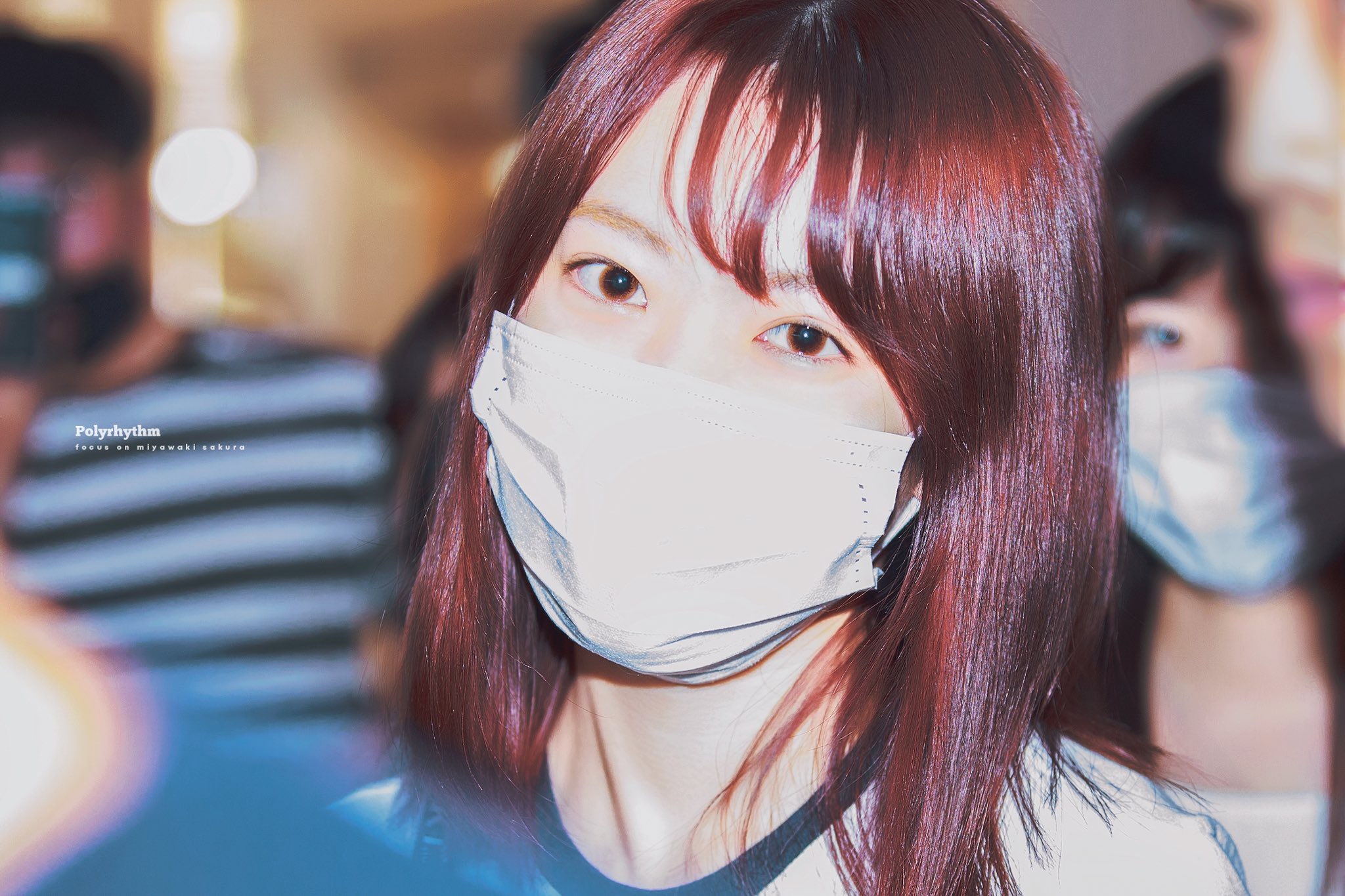 사쿠라 사랑해 | 인스티즈