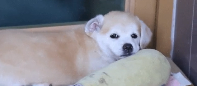 아니 짱절미 왜 이렇게 귀엽지...? | 인스티즈