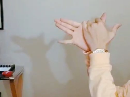 방탄 제이홉 진짜 그림자 잘 만들어 | 인스티즈