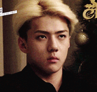 근데 오세훈 갭차이 쩌는 게 넘 좋아 | 인스티즈