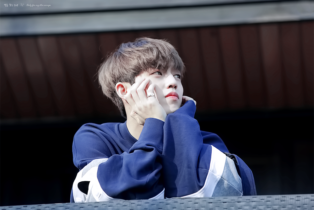 우리 승철대성공 리다님 용안 보고가.. | 인스티즈